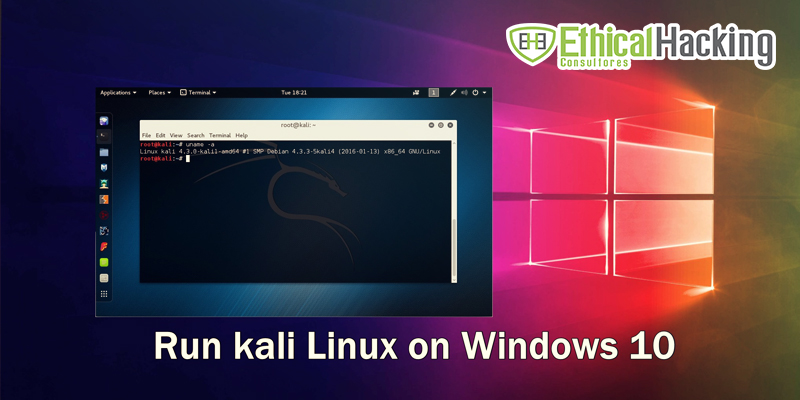 Kali Linux, el sistema operativo hacker Kalilinux